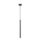 Zwarte hanglamp met lange, slanke metalen buis aan een dun snoer en ronde plafondkap