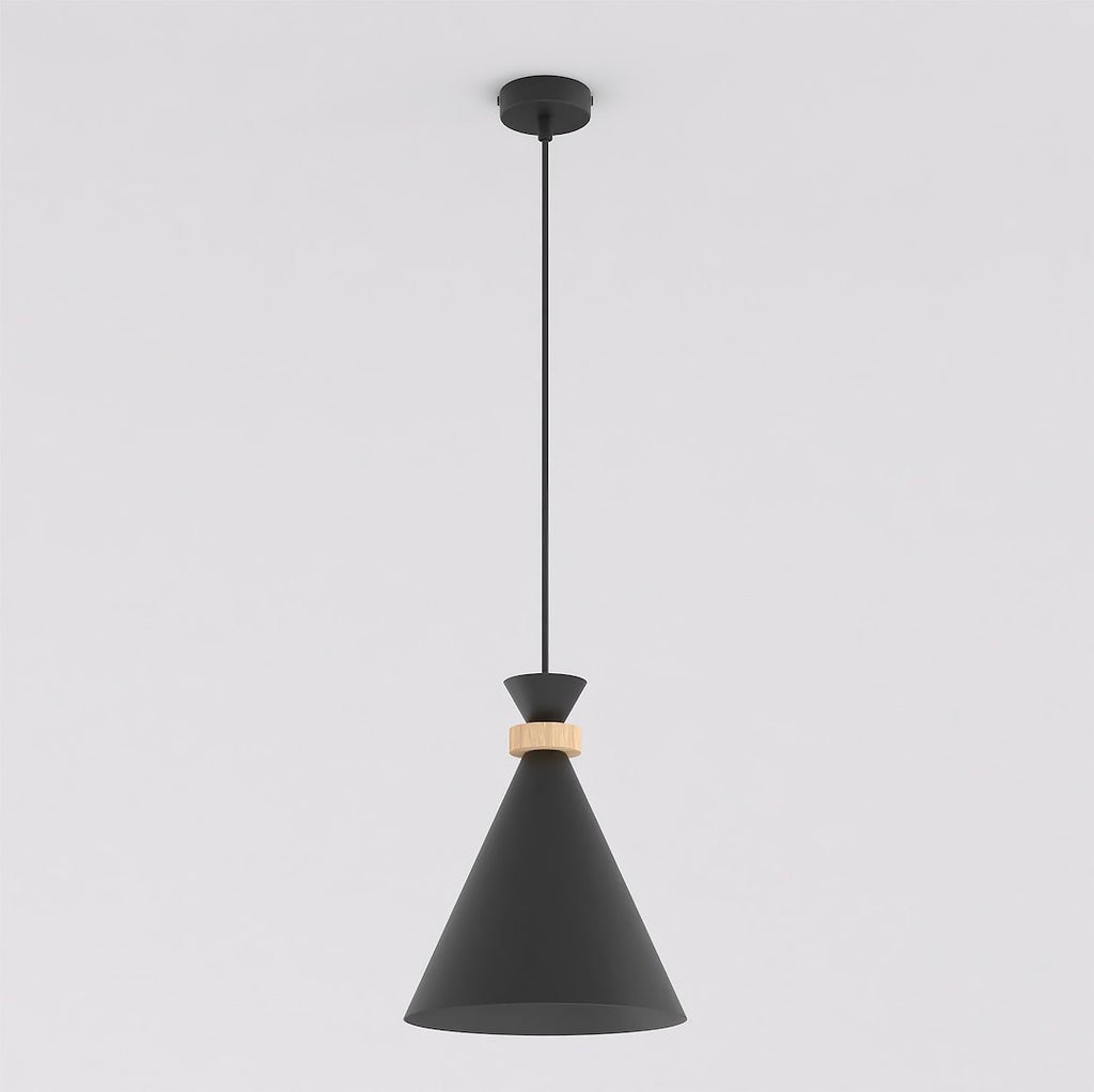 Zwarte koepelvormige hanglamp met houten ring, dunne stang en ronde plafondplaat
