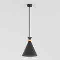 Zwarte koepelvormige hanglamp met houten ring, dunne stang en ronde plafondplaat