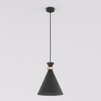 Zwarte koepelvormige hanglamp met houten ring, dunne stang en ronde plafondplaat