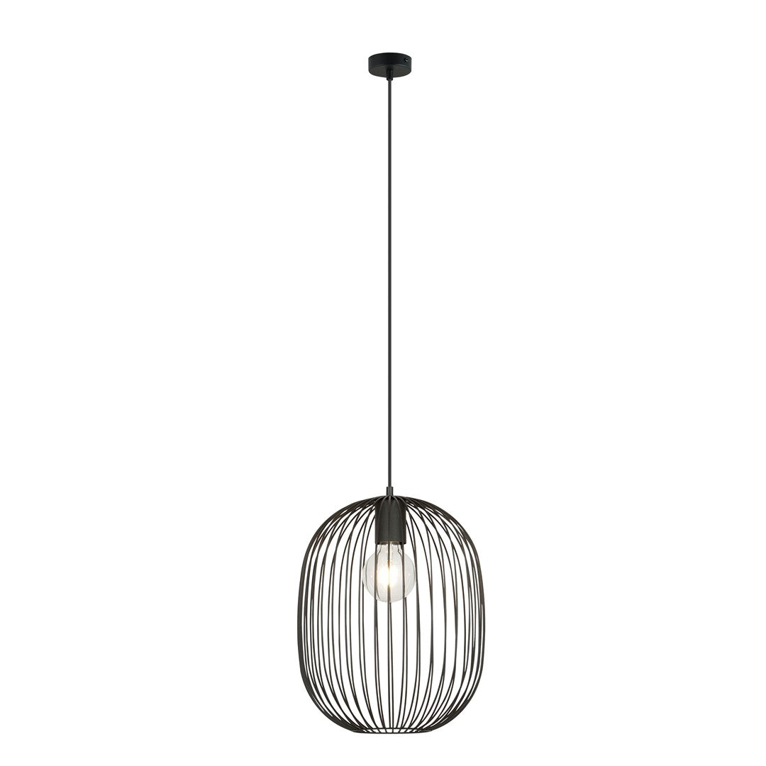 Zwarte hanglamp met ovale draadkap en zichtbare heldere lamp aan een dun zwart snoer