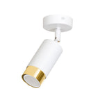 Witte kantelbare plafondspot met gouden rand om de lichtopening, gemonteerd op een ronde witte plafondplaat