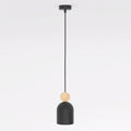 Zwarte capsulevormige hanglamp met rond houten accent aan een dunne zwarte pendel tegen een lichte achtergrond
