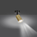 Plafondlamp spot gepoedercoat staal modern Zen zwart met goudkleurige kap, 1 fitting, voor hal en keuken