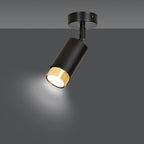 Plafondlamp gepoedercoat staal Hiro modern zwart met goud, kantelbare spot voor hal en keuken