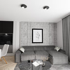Plafondlamp gepoedercoat staal modern zwart Ø 20 cm, met GX53-fitting voor woonkamer, slaapkamer en hal