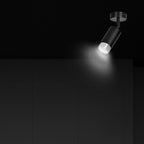 Plafondspot staal modern Hiro, zwart met zilver, 1 lichtpunt, kantelbare lichtbundel voor hal, keuken of slaapkamer