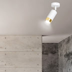 Plafondlamp spot gepoedercoat staal Hiro, wit met goud, kantelbaar, 1 fitting – 8 x 19 cm