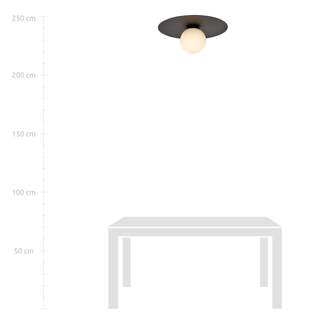 Plafondlamp opbouw gepoedercoat staal en glas, minimalistisch zwart met witte glazen kap, Ø 30 cm