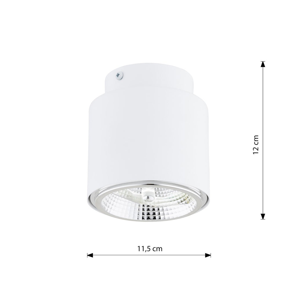 Plafondlamp Nano gepoedercoat staal wit, minimalistisch, 1 fitting, max. 12 W led, 11 x 12 cm, woonkamer, hal of kantoor