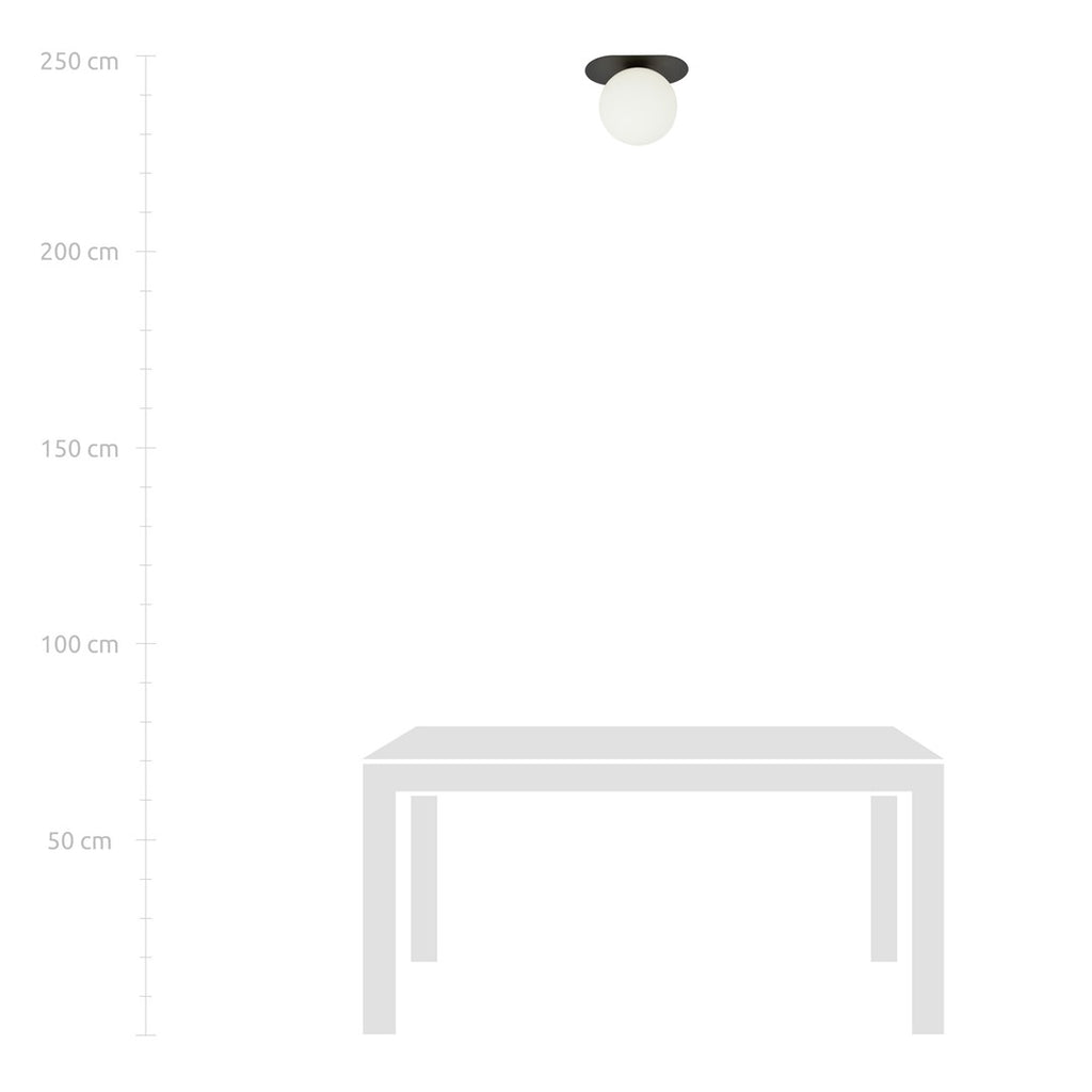 Plafondlamp Plaza gepoedercoat staal en glas, modern, zwart met witte glazen kap Ø 15 cm