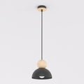 Zwarte hanglamp met halfronde stalen kap en houten bol aan een dunne stang, tegen een lichte achtergrond