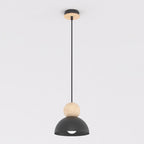 Zwarte hanglamp met halfronde stalen kap en houten bol aan een dunne stang, tegen een lichte achtergrond