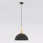 Hanglamp gepoedercoat staal en hout Scandinavisch Nautica zwart 30 cm, 1 fitting, voor woonkamer en eetruimte
