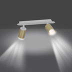 Plafondlamp gepoedercoat staal Zen, modern, wit met messingkleurige spotkappen, 2 spots, 42 x 18 cm