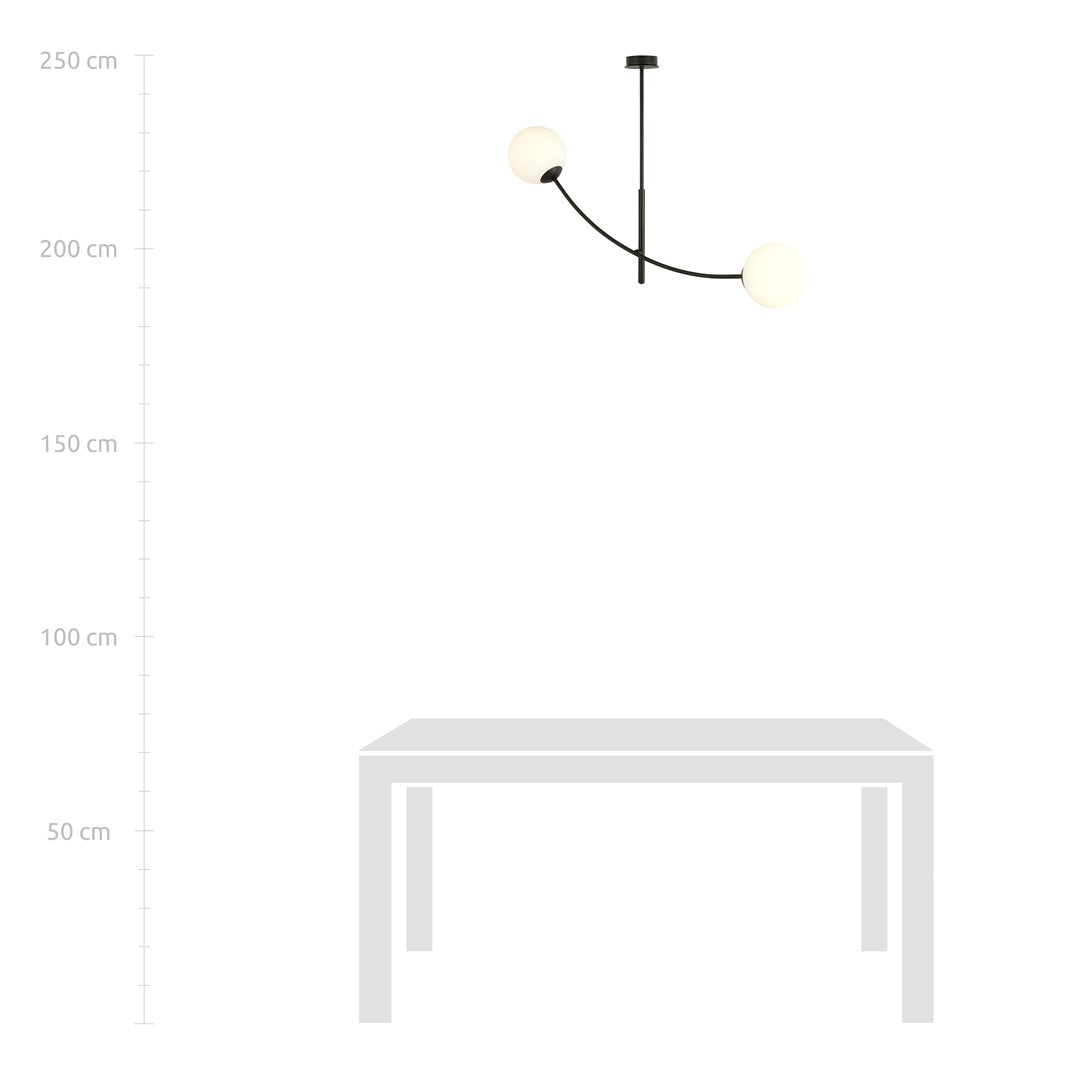 Plafondlamp gepoedercoat staal modern Hunter zwart met witte glazen kappen, 83 x 60 cm, 2 fittingen