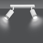 Plafondlamp gepoedercoat staal Hiro 2 spots, wit met zilver, 30 x 19 cm, voor hal en keuken