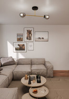 Plafondlamp gepoedercoat staal en glas, Magnum, zwart en goud met grafiet glazen kappen, 2 lichts, 55 cm breed