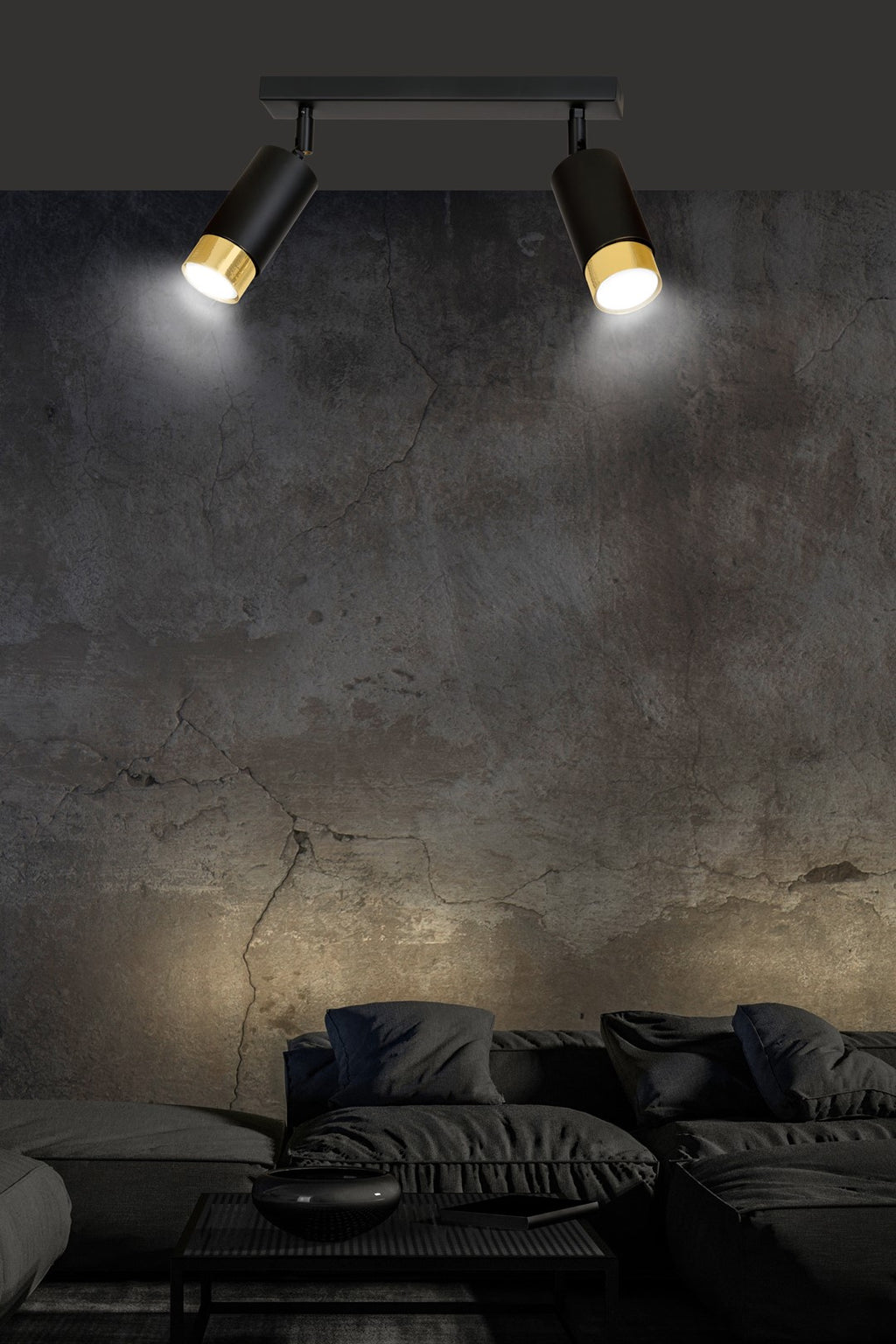Plafondlamp gepoedercoat staal modern Hiro zwart met goud, 2 richtbare spots, 30 cm breed