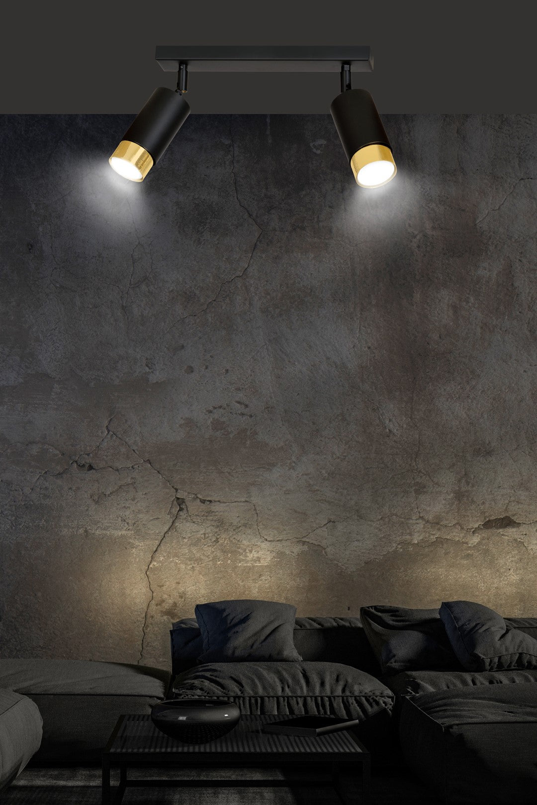 Plafondlamp gepoedercoat staal modern Hiro zwart met goud, 2 richtbare spots, 30 cm breed