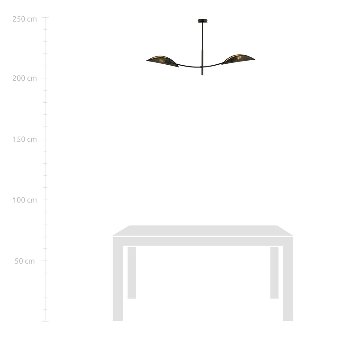 Plafondlamp Lotus gepoedercoat staal, modern, zwart met goud, 2 lichtpunten, 103 x 60 cm, woonkamer en slaapkamer