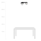 Plafondlamp gepoedercoat staal en glas Plaza 2 lichts, modern, zwart met grafiet glazen kappen, 45 cm
