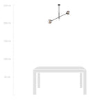 Hanglamp gepoedercoat staal en glas, modern Linear 2 zwart met grafiet glas, 2 lichtpunten, hoogte verstelbaar