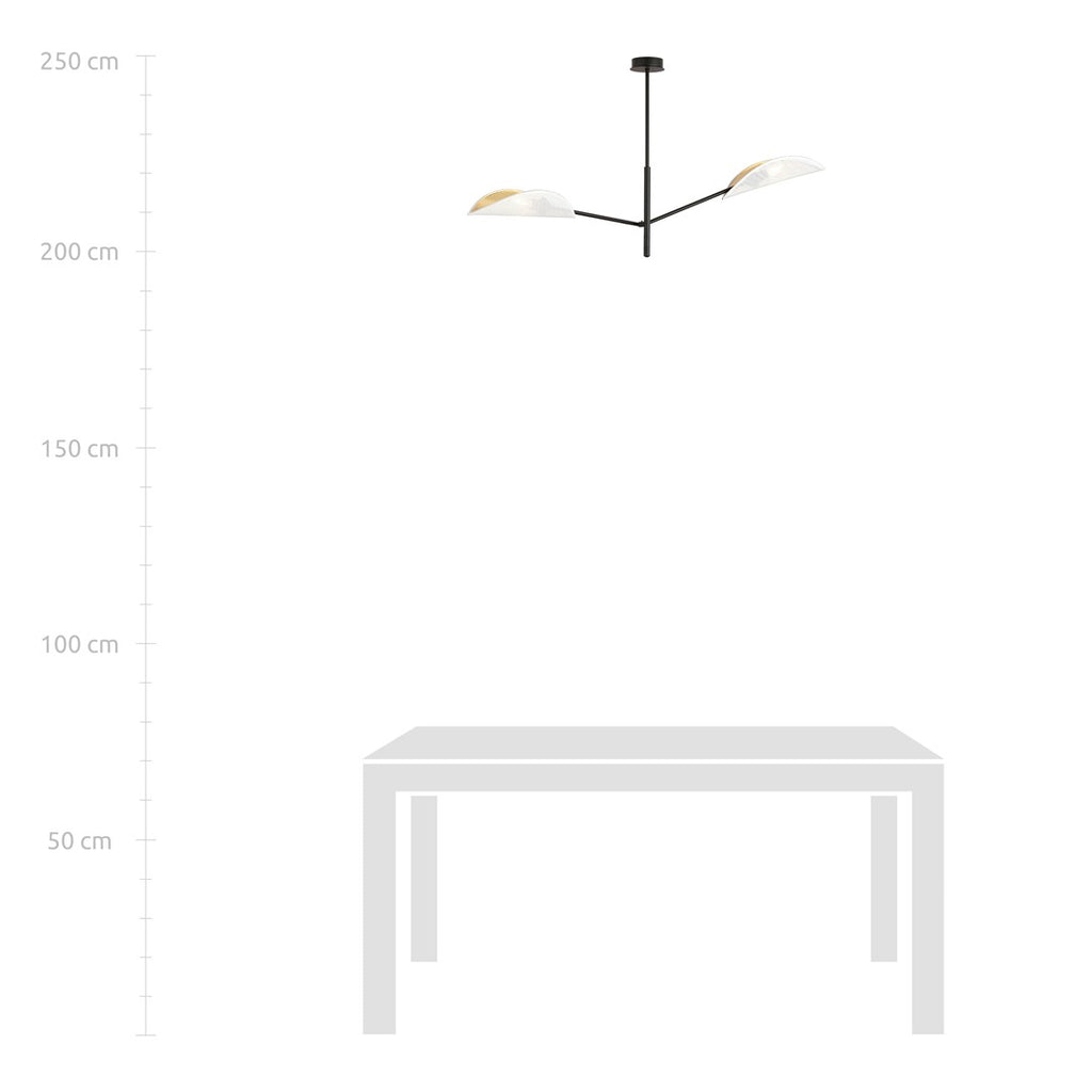Plafondlamp Vene gepoedercoat staal, modern, zwart met wit en goud, 2 lichtpunten, 102 x 51 cm, woonkamer en slaapkamer