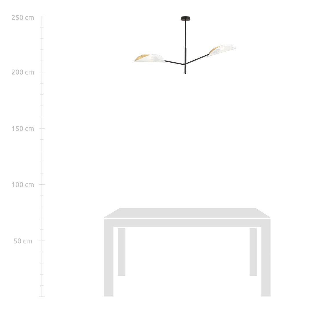Plafondlamp Vene gepoedercoat staal, modern, zwart met wit en goud, 2 lichtpunten, 102 x 51 cm, woonkamer en slaapkamer