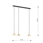 Hanglamp gepoedercoat staal Elit, minimalistisch, zwart en goud, 3 lichtpunten, 70 x 100 cm, woonkamer, eetkamer en hal