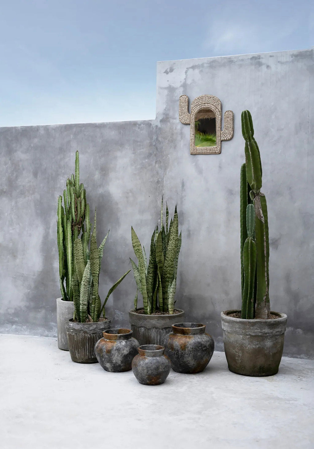 Spiegel kaurischelpen cactusvorm wit 40 x 38 cm voor hal of gastentoilet