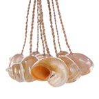 Decoratieve kwast schelp naturel, handgemaakt met echte schelpen – 8 x 45 x 8 cm