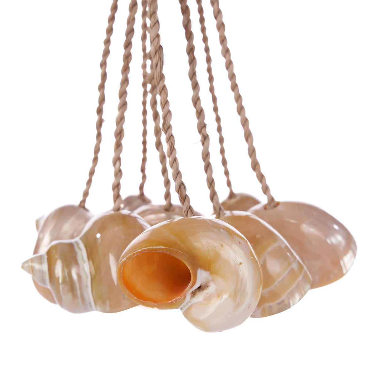 Decoratieve kwast schelp naturel, handgemaakt met echte schelpen – 8 x 45 x 8 cm