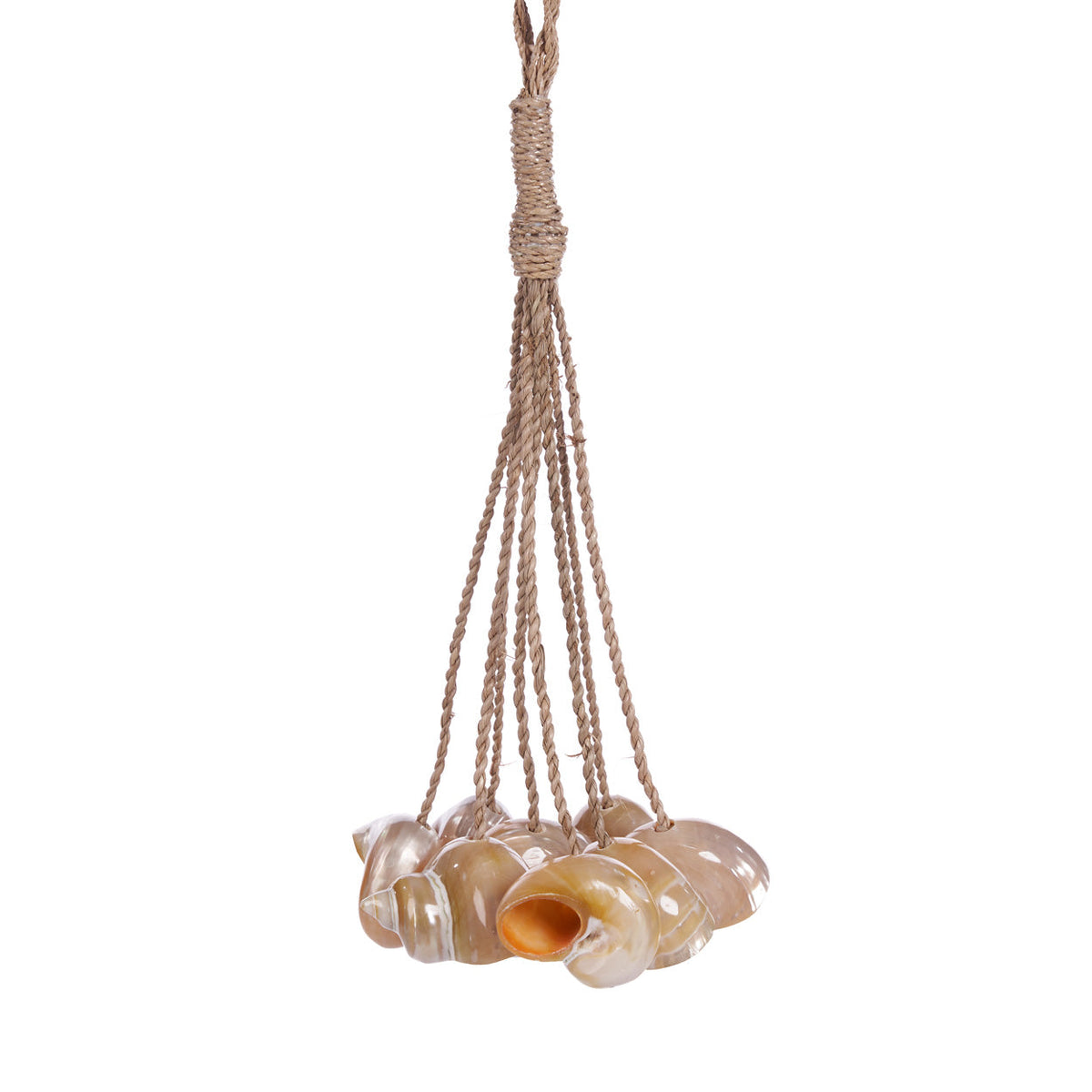 Decoratieve kwast schelp naturel, handgemaakt met echte schelpen – 8 x 45 x 8 cm