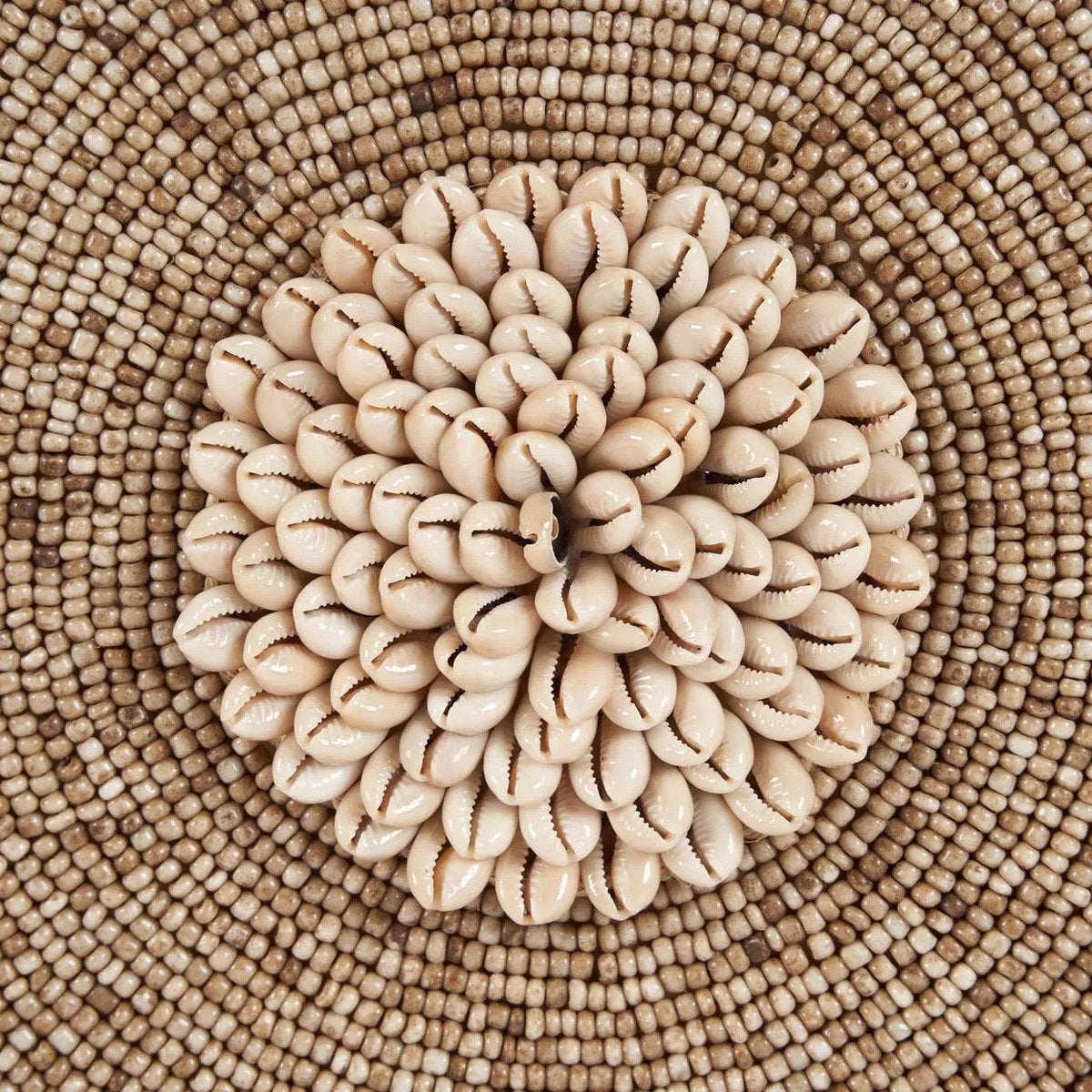 Decoratieobject schelp Guadeloupe op standaard, natuurwit – 10 x 40 x 55 cm, woonkamer