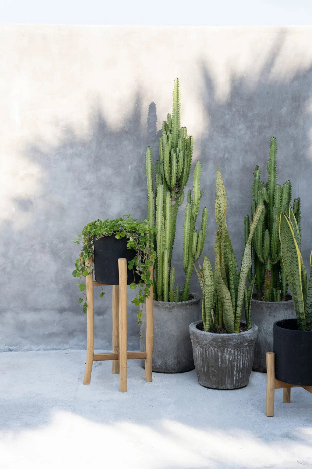 Plantenstandaard teakhout met pot terracotta, zwart naturel, 30 x 30 x 68 cm, voor droogbloemen