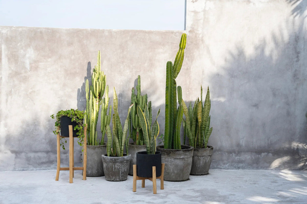 Plantenstandaard teakhout met pot terracotta, zwart naturel, 30 x 30 x 68 cm, voor droogbloemen
