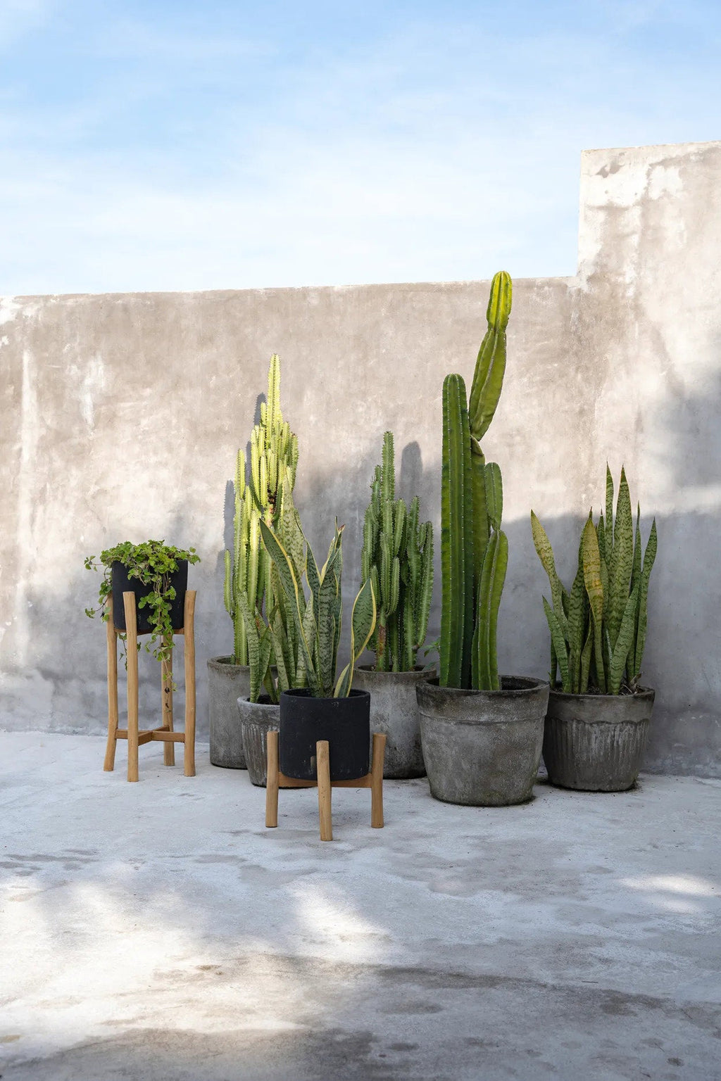 Bloempot terracotta met teakhouten standaard, zwart naturel, 28 x 28 x 36 cm, voor droogbloemen